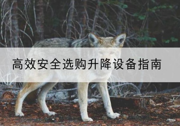 秦安升降货梯厂家推荐-*安全选购升降设备指南