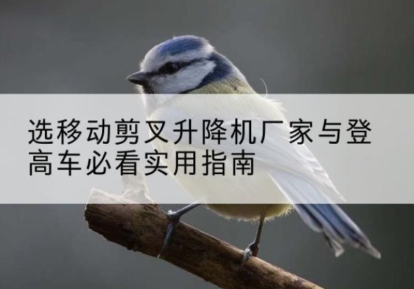 秦安电动升降机厂家-选移动剪叉升降机厂家与登高车必看实用指南